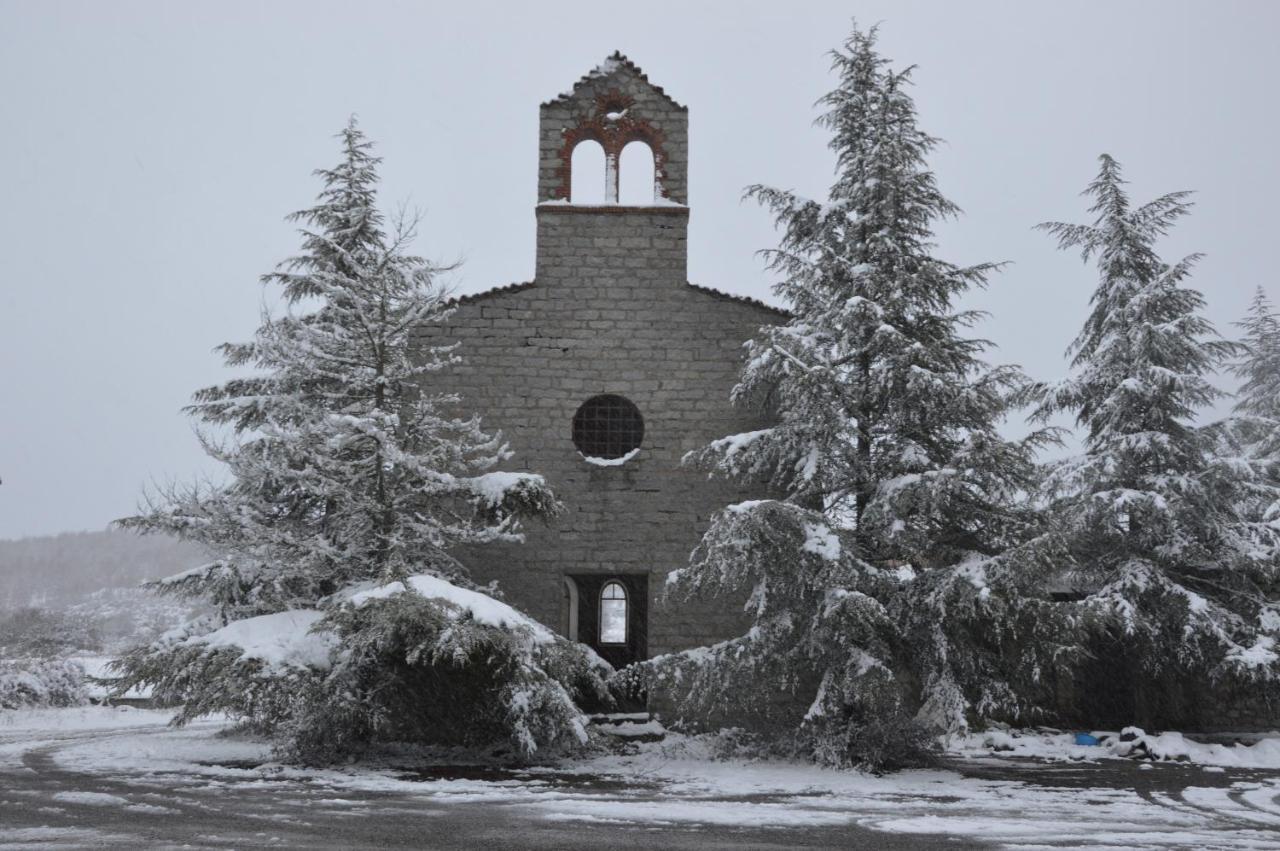 B&B La Genziana Fonni Εξωτερικό φωτογραφία